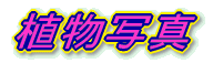 Aʐ^